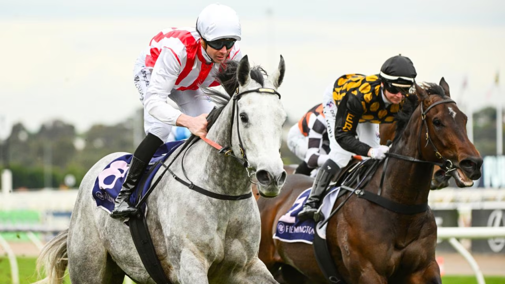 Karaka Millions 2026 filly